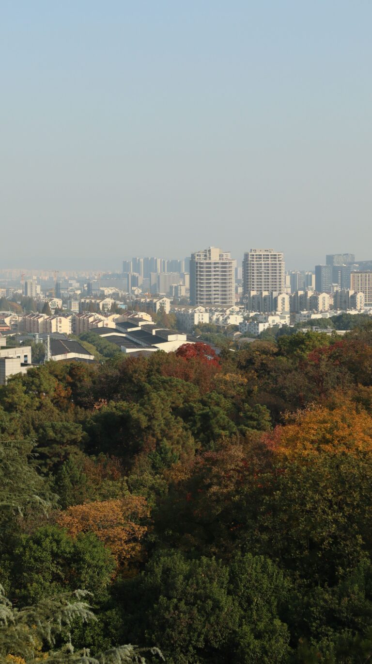 해운대 송정동 맛집, 송정해수욕장·광어골·구덕포에서 메뉴별로 고르는 방법